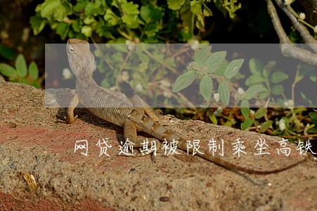 网贷逾期被限制乘坐高铁飞机 网贷逾期被限制乘坐高铁飞机