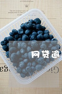 网贷逾期被限制坐飞机 网贷逾期被限制坐飞机