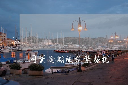 网贷逾期被频繁骚扰 网贷逾期被频繁骚扰