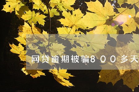 网贷逾期被骗800多天 网贷逾期被骗800多天