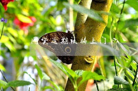 网贷逾期被骗上门 网贷逾期被骗上门