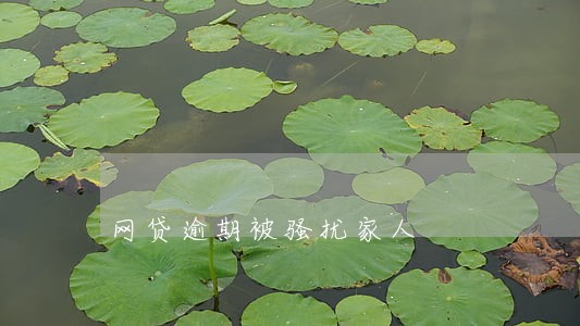 网贷逾期被骚扰家人