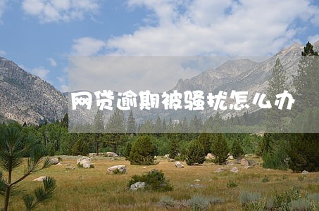 网贷逾期被骚扰怎么办 网贷逾期被骚扰怎么办