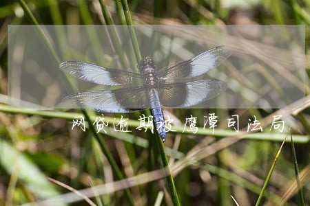 网贷逾期被鹰潭司法局 网贷逾期被鹰潭司法局
