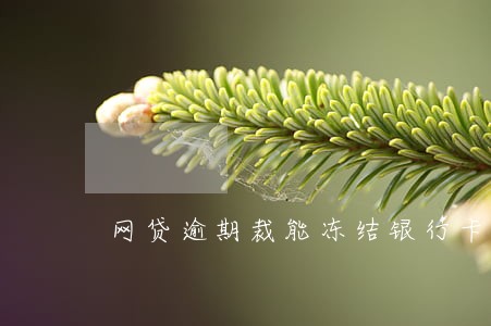 网贷逾期裁能冻结银行卡吗