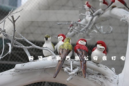 网贷逾期西湖公安会打电话 网贷逾期西湖公安会打电话