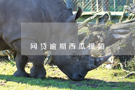 网贷逾期西瓜视频 网贷逾期西瓜视频