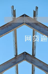 网贷逾期要上公司催收 网贷逾期要上公司催收