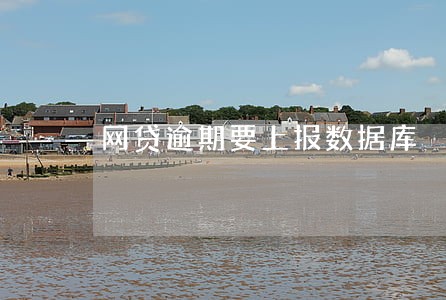 网贷逾期要上报数据库 网贷逾期要上报数据库