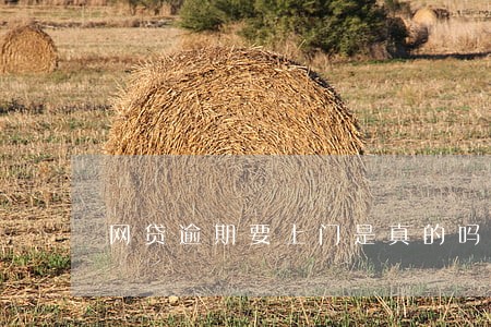 网贷逾期要上门是真的吗 网贷逾期要上门是真的吗