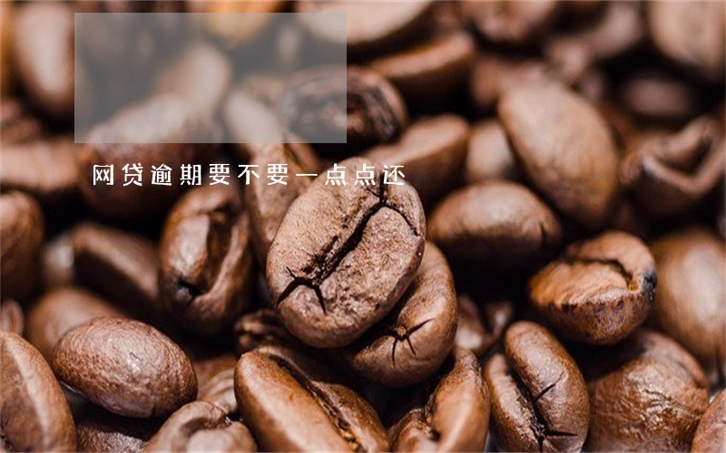 网贷逾期要不要一点点还 网贷逾期要不要一点点还