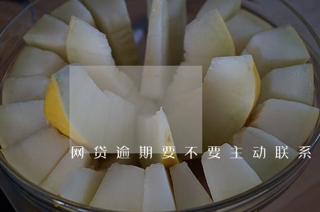 网贷逾期要不要主动联系平台 网贷逾期要不要主动联系平台