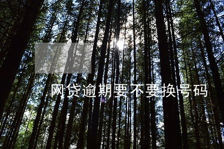 网贷逾期要不要换号码 网贷逾期要不要换号码