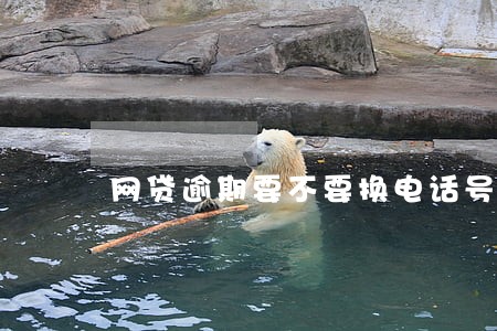 网贷逾期要不要换电话号码 网贷逾期要不要换电话号码