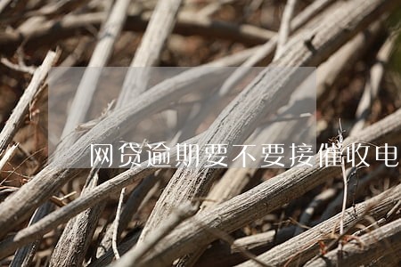 网贷逾期要不要接催收电话 网贷逾期要不要接催收电话