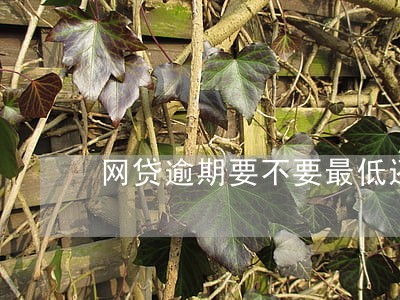 网贷逾期要不要最低还款