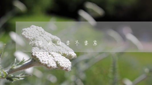 网贷逾期要不要紧 网贷逾期要不要紧