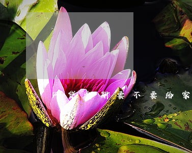 网贷逾期要不要给家人说 网贷逾期要不要给家人说