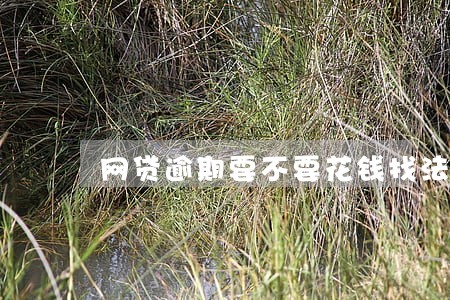网贷逾期要不要花钱找法务 网贷逾期要不要花钱找法务