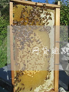 网贷逾期要不要辞职 网贷逾期要不要辞职