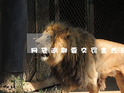 网贷逾期要交罚金合法吗 网贷逾期要交罚金合法吗