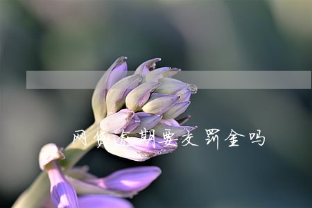 网贷逾期要交罚金吗 网贷逾期要交罚金吗