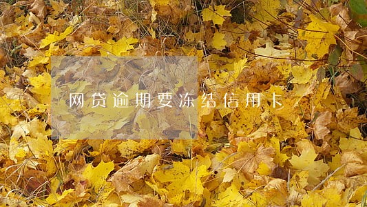网贷逾期要冻结信用卡 网贷逾期要冻结信用卡