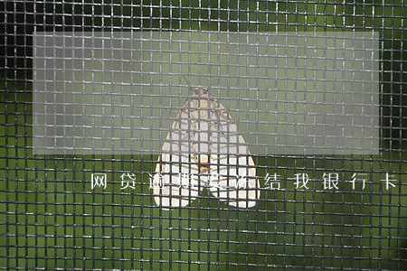 网贷逾期要冻结我银行卡 网贷逾期要冻结我银行卡