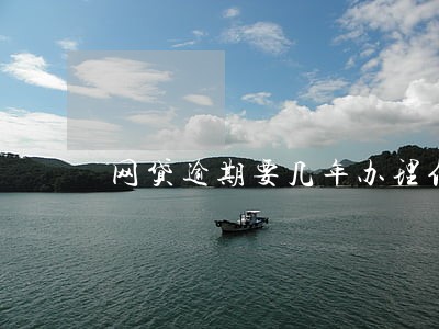 网贷逾期要几年办理信用卡 网贷逾期要几年办理信用卡