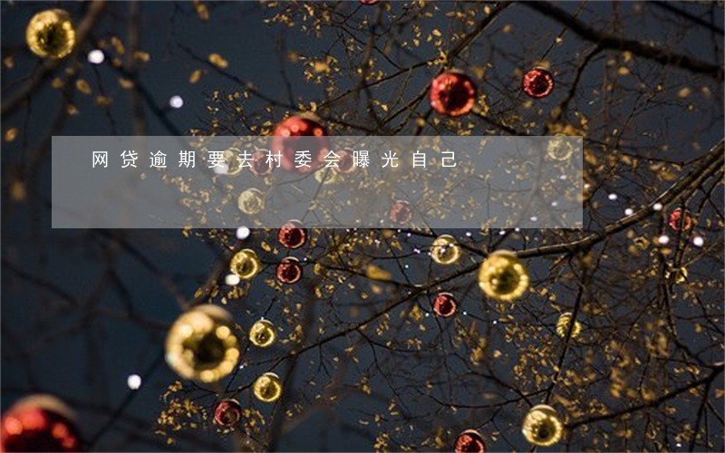 网贷逾期要去村委会曝光自己