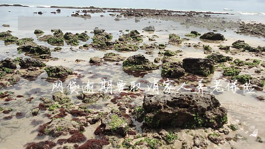 网贷逾期要取消家人养老保险