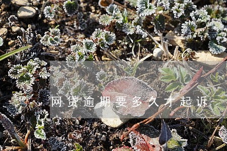 网贷逾期要多久才起诉 网贷逾期要多久才起诉