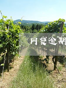 网贷逾期要寄手机卡吗 网贷逾期要寄手机卡吗