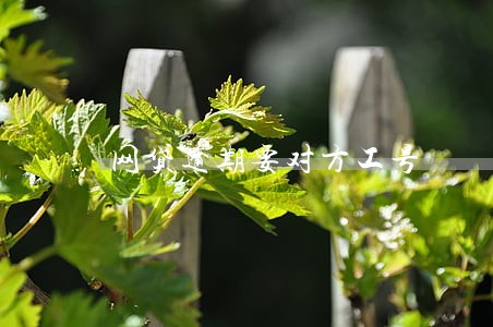 网贷逾期要对方工号 网贷逾期要对方工号