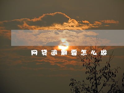 网贷逾期要怎么做 网贷逾期要怎么做