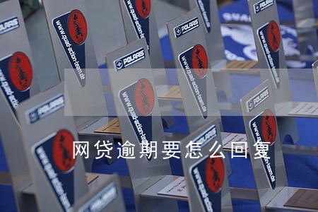 网贷逾期要怎么回复 网贷逾期要怎么回复