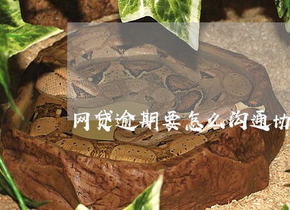 网贷逾期要怎么沟通协商还款 网贷逾期要怎么沟通协商还款