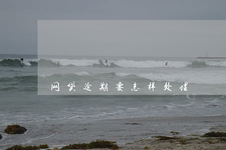 网贷逾期要怎样处理 网贷逾期要怎样处理