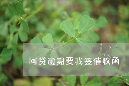 网贷逾期要我签催收函 网贷逾期要我签催收函