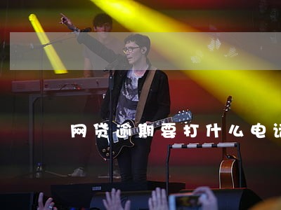 网贷逾期要打什么电话投诉 网贷逾期要打什么电话投诉