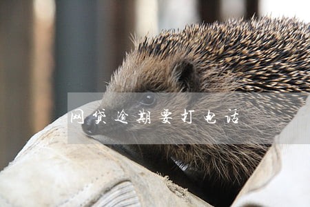 网贷逾期要打电话 网贷逾期要打电话