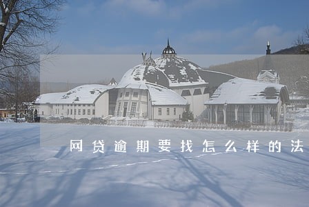 网贷逾期要找怎么样的法务机构