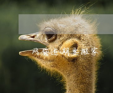 网贷逾期要搬家 网贷逾期要搬家