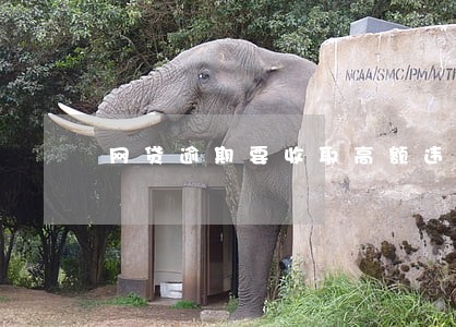 网贷逾期要收取高额违约费 网贷逾期要收取高额违约费