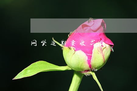 网贷逾期要收罚款