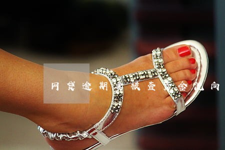 网贷逾期要核查资金流向 网贷逾期要核查资金流向