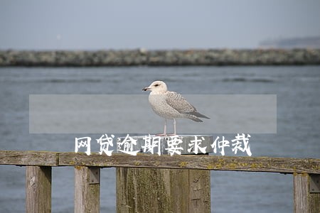 网贷逾期要求仲裁 网贷逾期要求仲裁