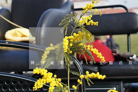 网贷逾期要求传全额还款 网贷逾期要求传全额还款