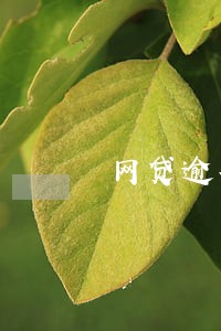 网贷逾期要求去调解室调解 网贷逾期要求去调解室调解