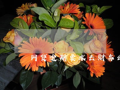 网贷逾期要求去财务公司协商 网贷逾期要求去财务公司协商